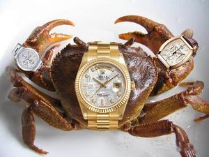 3つの腕時計をした河蟹
